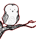 GIF image