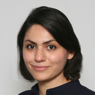 avatar for Farzaneh Badiei